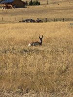 0EB7C797-921A-4F01-87A1-E80B9405DED4.jpeg