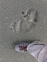 IMG_1484.jpg