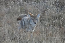 DSC_0050.JPG DSC_0050.JPG