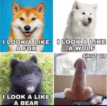 1663673293126.png