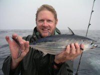 Skipjack Onokai.jpg Skipjack Onokai.jpg