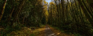 629E4602-423B-44E7-86E8-FC97A448CF87.jpeg