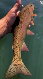 BC6CF54C-2A21-430D-881E-11FD344D92D4.jpeg