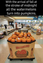 1664023921435.png 1664023921435.png