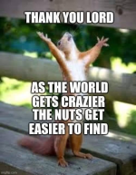 1664023949816.png 1664023949816.png