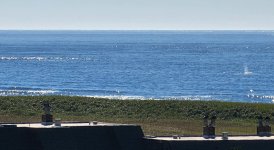 20220923_152241.jpg 20220923_152241.jpg