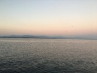 IMG_5218[1].JPG