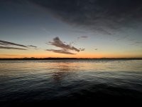 49E75F03-F6FC-428D-8E46-AF039A1929CE.jpeg