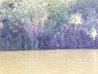 20220924_bird.jpg 20220924_bird.jpg