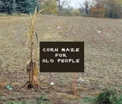 1664192249875.png