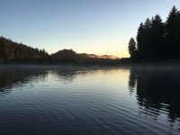 EAA6922E-B356-489C-ADF4-A2C9539E89D3.jpeg EAA6922E-B356-489C-ADF4-A2C9539E89D3.jpeg