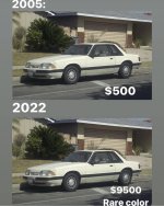 2463C5E9-F4D4-4BD9-A438-A35E056DFA86.jpeg
