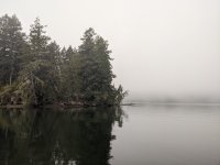 fog_soup.jpg