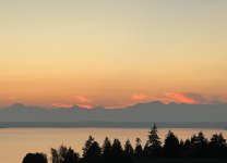 5E178316-8F84-4B56-81D2-FC3F05E7FDDC.jpeg