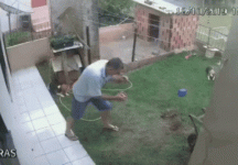yard-explosion.gif