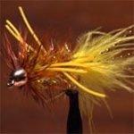 autumn_splendor_160.jpg