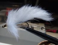 IMG_20221003_195738476.jpg