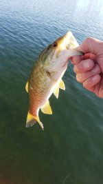 20220925_083828.jpg