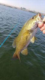 20220909_095215.jpg