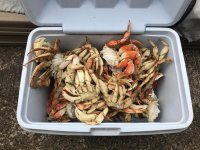 22cookedcrab.jpg 22cookedcrab.jpg