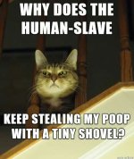 pooptheft.jpg