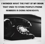 5976A4EF-C3AD-4C86-9268-467C1245D7DD.jpeg