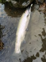 IMG_2080.JPG