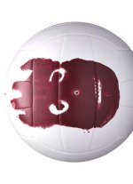 volleyyyy.jpg