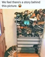 1665149360921.png