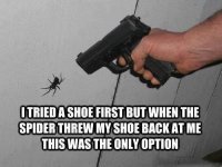2f1935f67ecad0c84c9f5ff84200a804--spider-humor-funny-spider.jpg