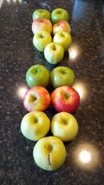 IMG_20221007_100619524.jpg