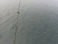 12254818-0ED1-41FB-BA91-6F0FA6B00ACD.jpeg