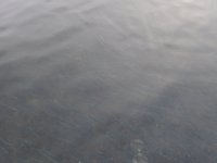 2F1E4931-6E80-4625-A099-FB70A0D8B29D.jpeg