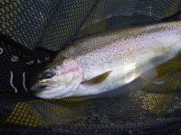 IMGP5776.JPG