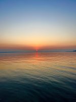 575AF54B-DA3B-419E-9F60-CD249BA31C82.jpeg