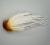 DSC04045.jpg
