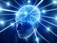 consciousness-709143.jpg consciousness-709143.jpg