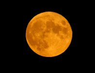 moonhunters2022oct9thof2222.jpg