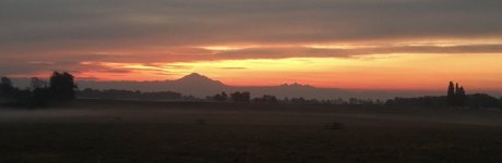E0B5F345-C48C-4E17-A7CC-0B723294A9D4.jpeg