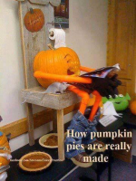 1665488381826.png