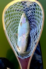 20221011_100829.jpg