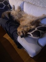 E74C50F3-B789-49F9-B1AA-8BEFFB6B5786.jpeg