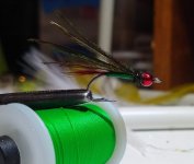 IMG_20221013_215244236.jpg