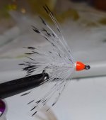 IMG_20221013_205112508.jpg
