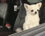 unknown.gif