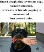 E77F7281-C1AE-448F-BC98-C6B0320990AD.jpeg