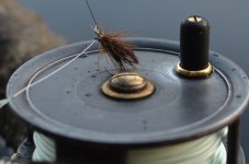 DSC_0124.JPG DSC_0124.JPG