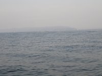 3D3256BC-DA64-4F29-AD37-CA83EDF1B014.jpeg