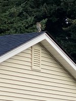 IMG_2431.jpeg