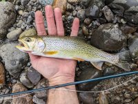 Cutthroat_Oct.22.jpg